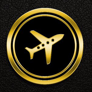 Travel Coin Coin Logo